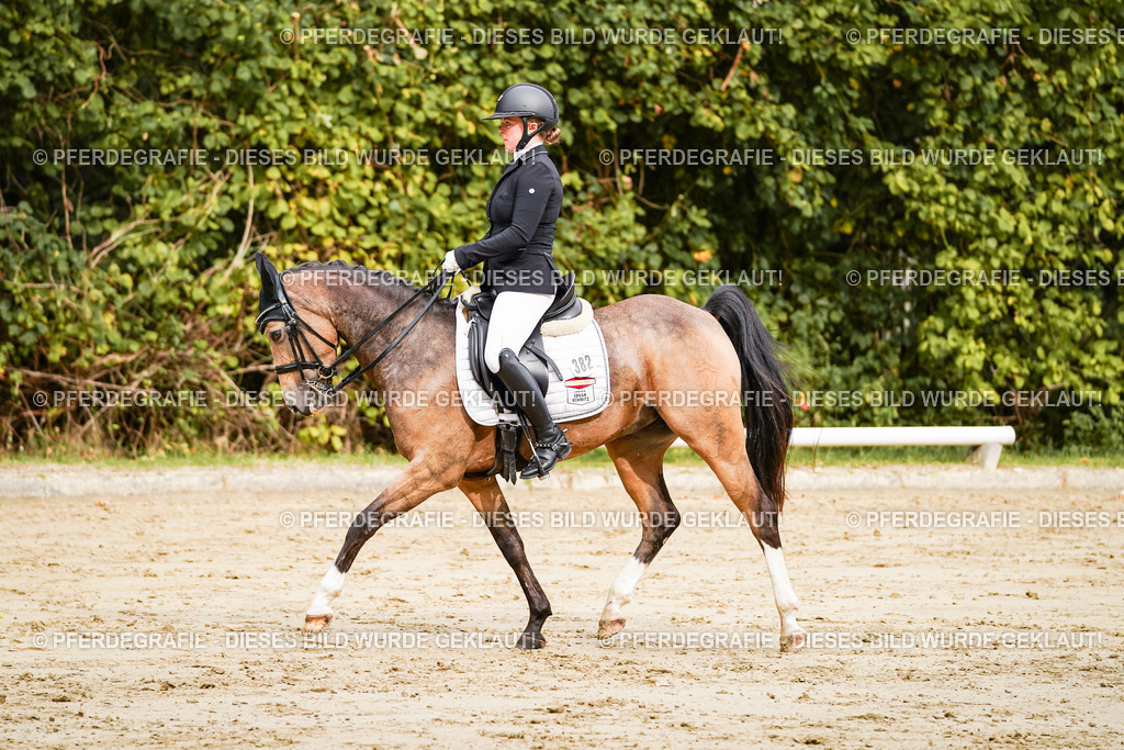 DSC02574 | Pferdegrafie