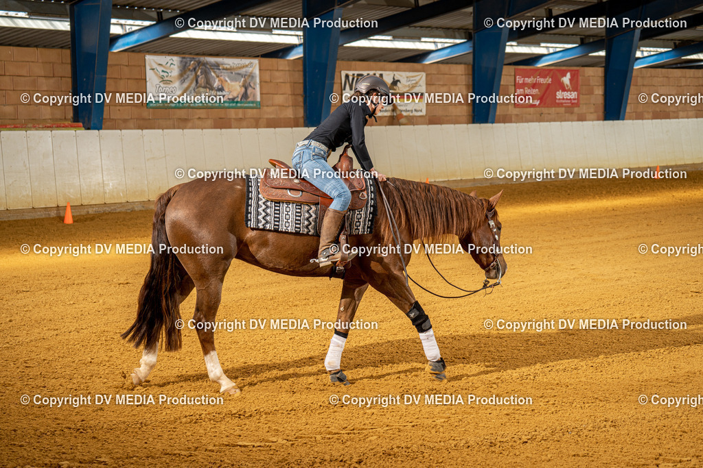 MIT00825 | dv-media-shop - Realisiert mit Pictrs.com