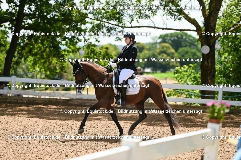 20230716_03_Dressurprfg. Kl.L - Tr._0112 | equistock