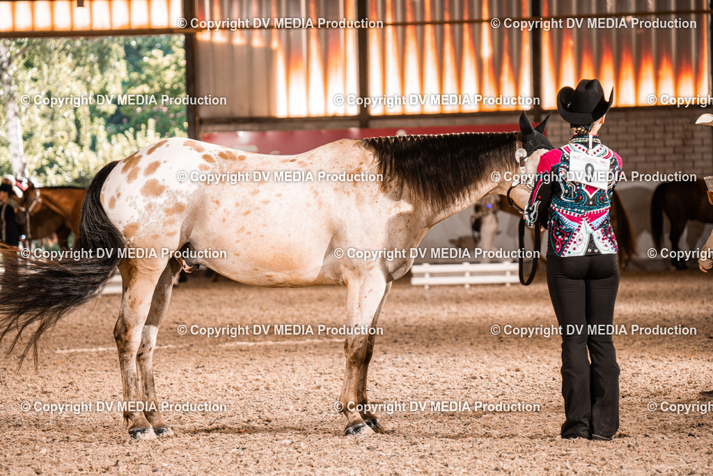 ZH100224 | dv-media-shop - Realisiert mit Pictrs.com