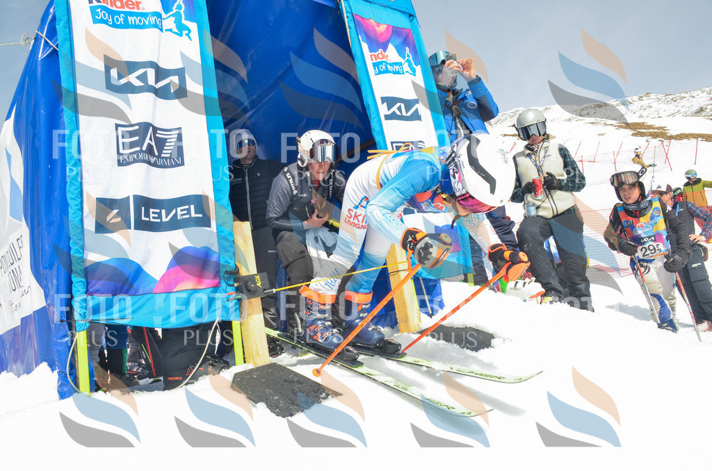 _ELE7440 | holidayphoto