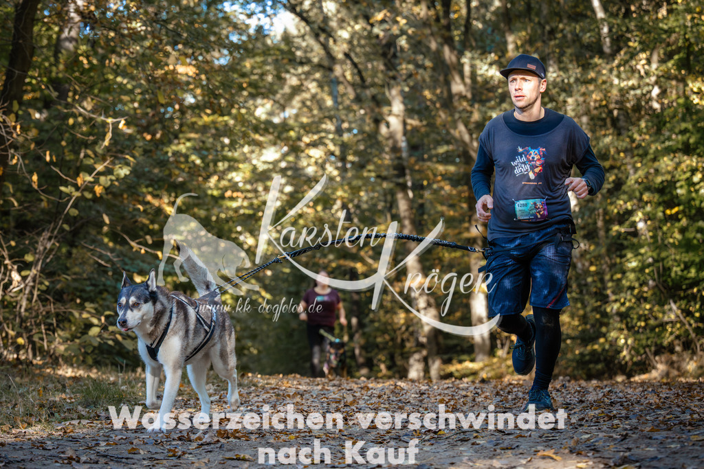 1105_ZZ91534 | kk-dogfotos