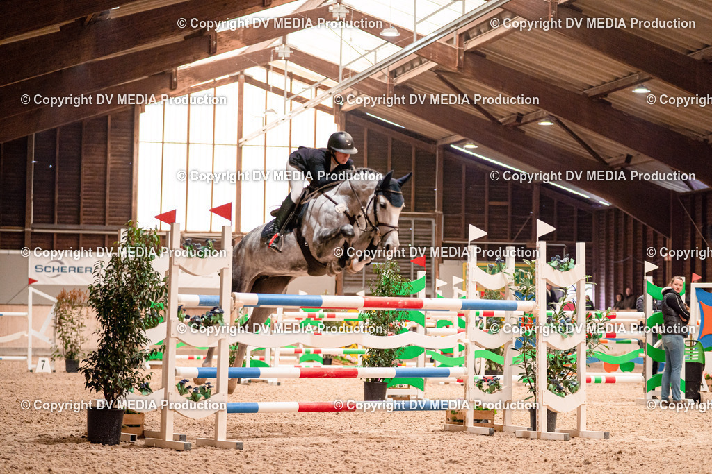 Springen Tag 3-423 | dv-media-shop - Realisiert mit Pictrs.com