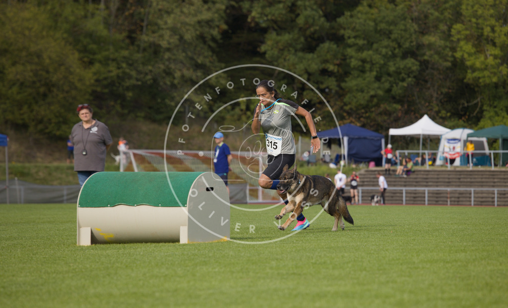0L8A3753 | Hundefotografie, Tierfotograf, Pfotenfotografie, Fotoshooting Hund, Hunde Portrait, Hundesport, Hundeportraits, Heideshooting, Hunde, Sportfotograf, Hundefotograf, Turnierhundsport, THS,  - Realisiert mit Pictrs.com