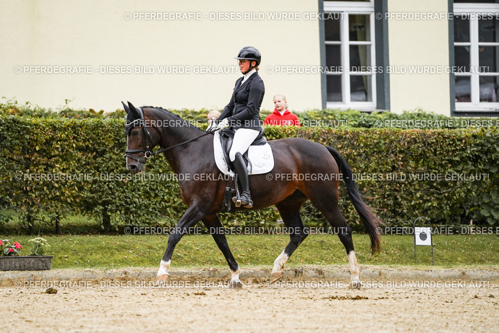 DSC06743 | Pferdegrafie