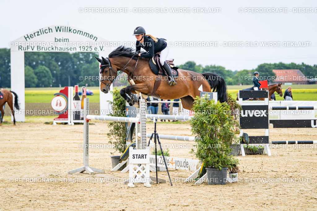 DSC06563 | Pferdegrafie