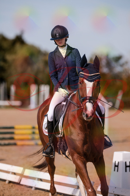 2026_10_03_Siefer-Hof_123445_Z81_33045445 | Professionelle Reitsport-, Turnier- und Eventfotografie von Robert Broda. Galerien mit ausgewählten und bearbeiteten Bildern direkt online ansehen und bestellen.