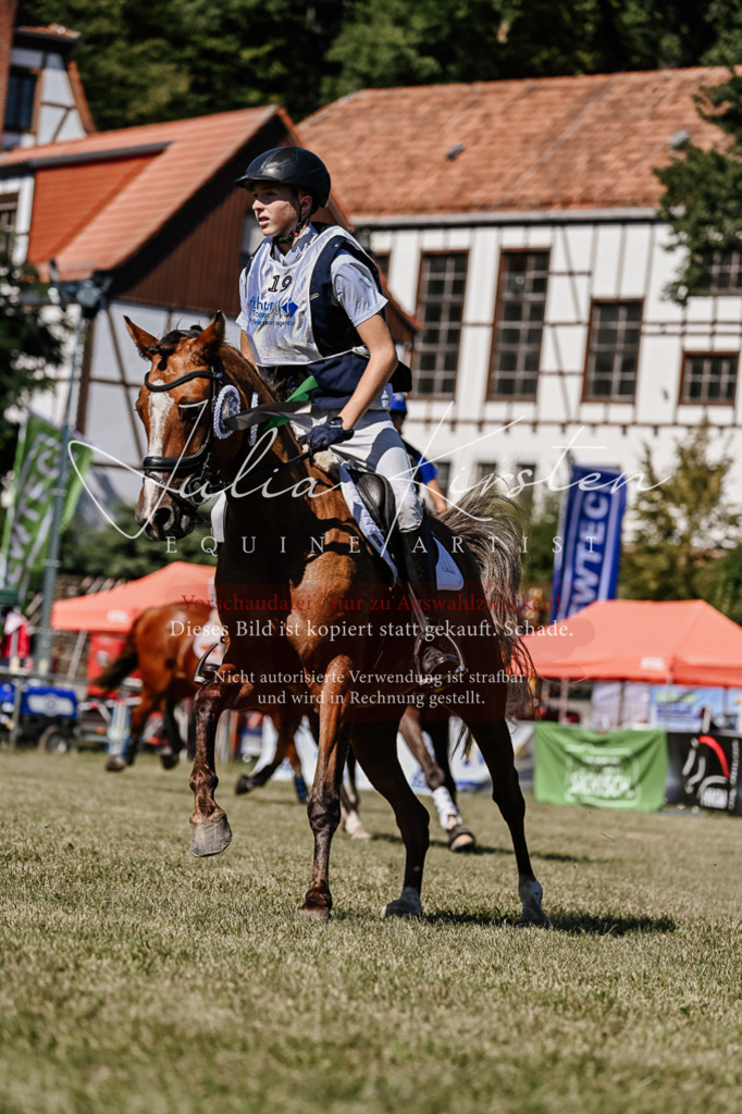 DSC_2583 | Pferde- und Turnierfotografie in Westsachsen. Pferdeportraits, Auftragszeichnungen und intuitive Kunst.