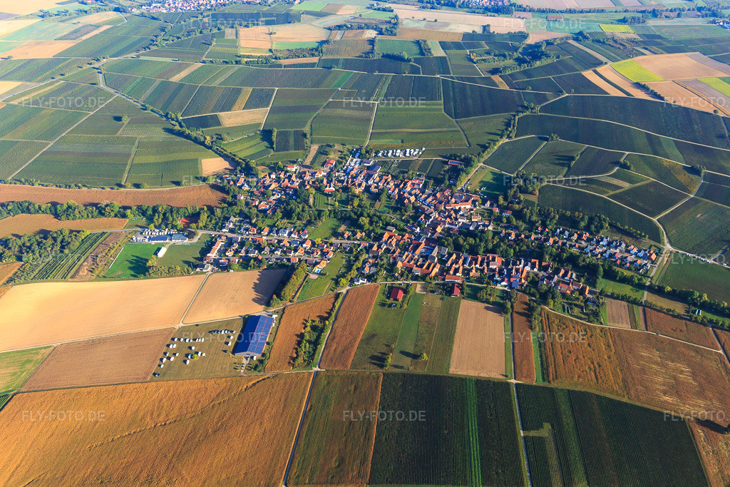 Luftbild: Dorfübersicht von Süden in Dierbach im Bundesland Rheinland-Pfalz in Deutschland. Foto: IMG_139253.jpg vom 01.10.2023 durch Werner Riehm/FLY-FOTO.de
