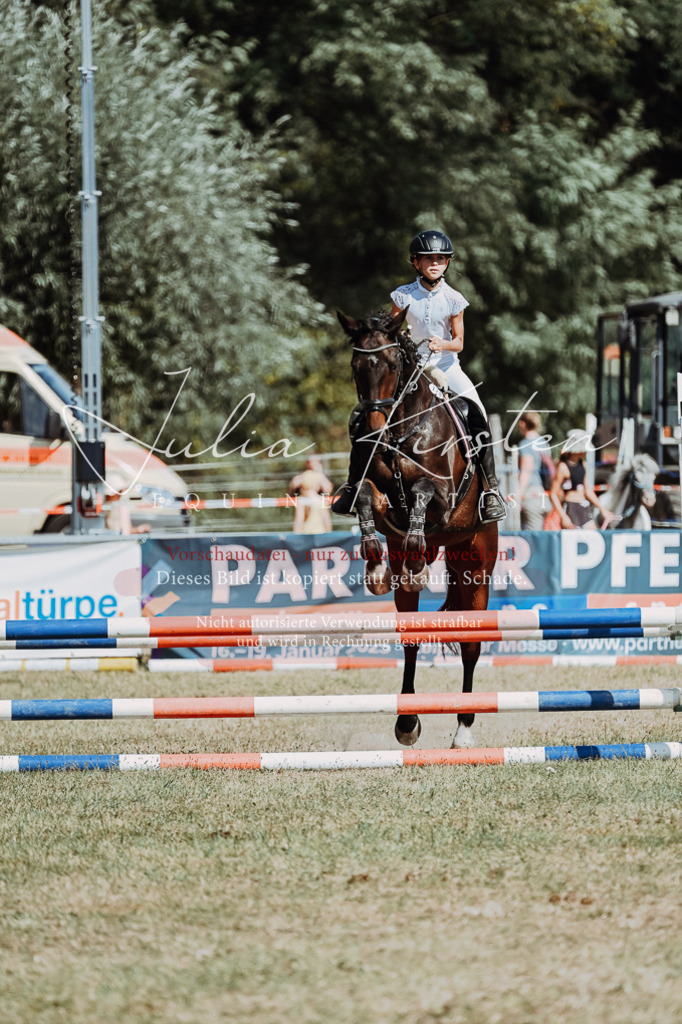 DSC_9829 | Pferde- und Turnierfotografie in Westsachsen. Pferdeportraits, Auftragszeichnungen und intuitive Kunst.