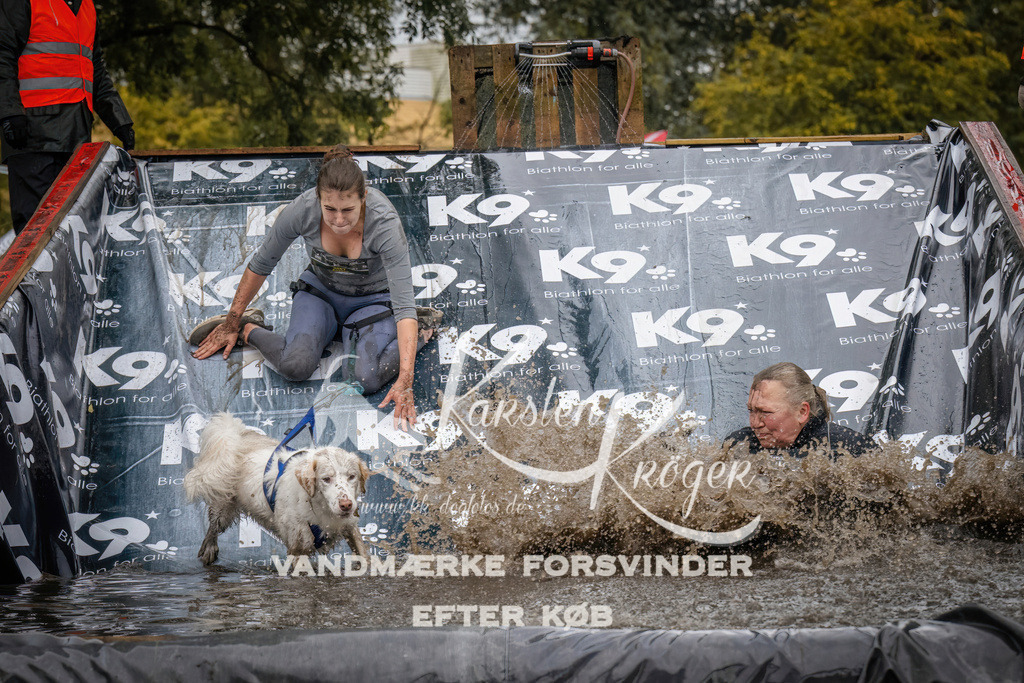 1204_ZZ94286 | kk-dogfotos