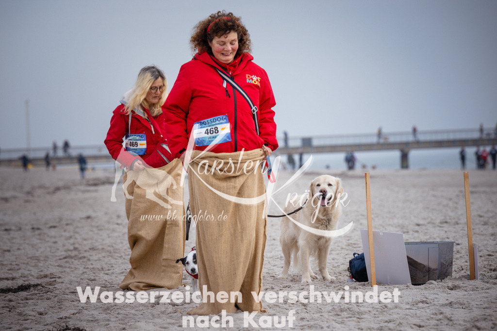 1155_ZZ91327 | kk-dogfotos