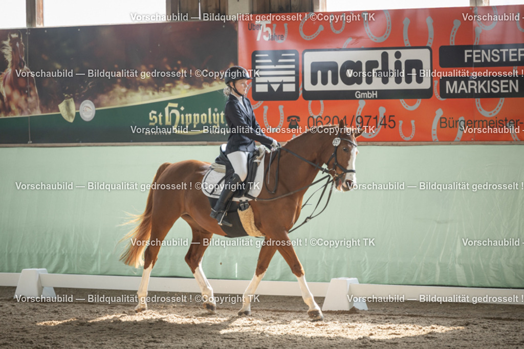 _D5A5530 | Emotionale Pferde- & People-Fotografie rund um Heidelberg, Leimen & Umgebung. Natürliche Fotos von Pferd, Mensch & Familie. Jetzt Termin sichern!