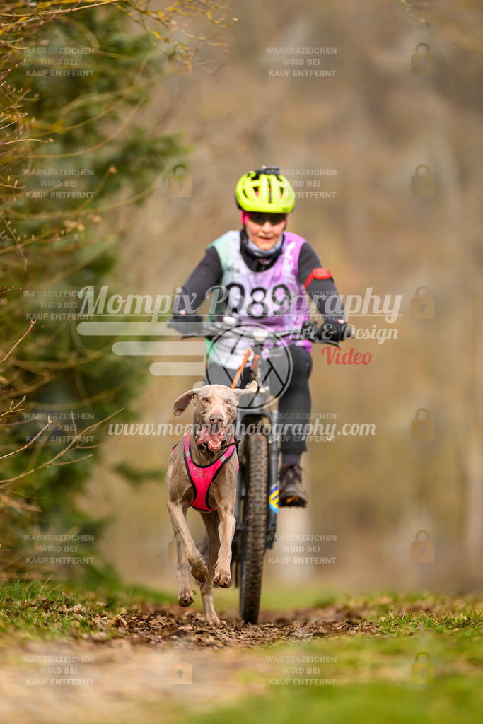 MompixPhotography_Schwabentrail2024_Bike-71 | PayLife