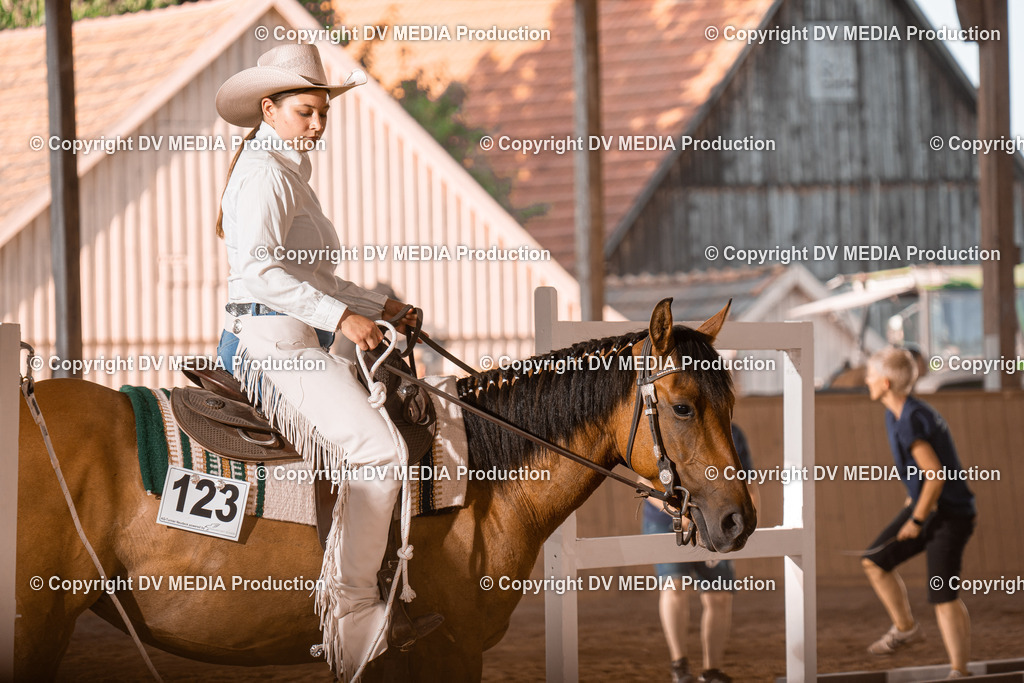 NE101265 | dv-media-shop - Realisiert mit Pictrs.com