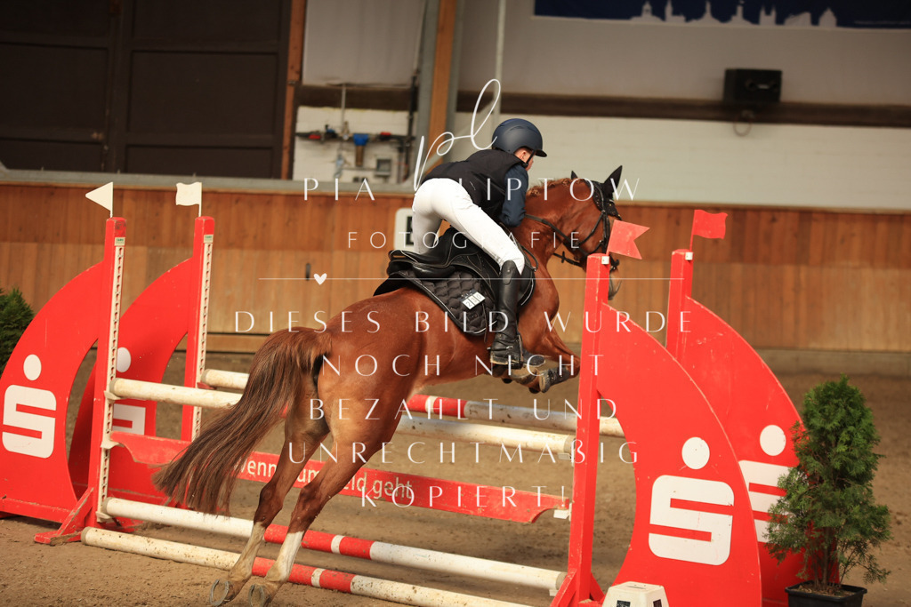 IMGT9968 | pl-fotografie