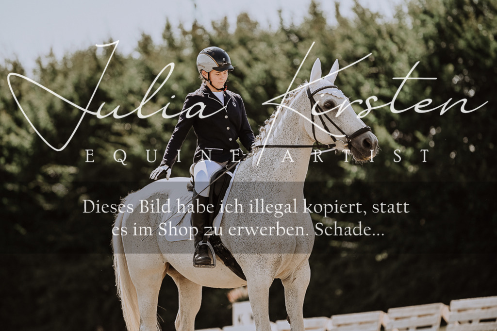 DSC_8446 | Pferde- und Turnierfotografie in Westsachsen. Pferdeportraits, Auftragszeichnungen und intuitive Kunst.