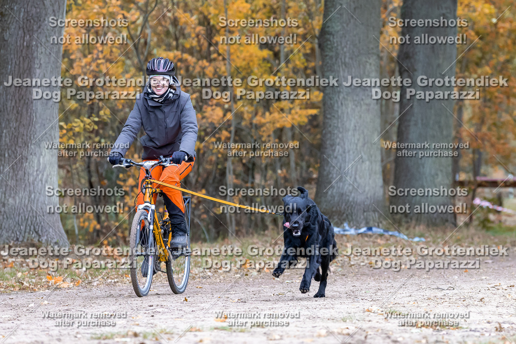 Dog Paparazzi - SD CaniX Championship 2025-585 | Dog Paparazzi Jeanette Grottendiek Fotografie & Videografie - Realisiert mit Pictrs.com