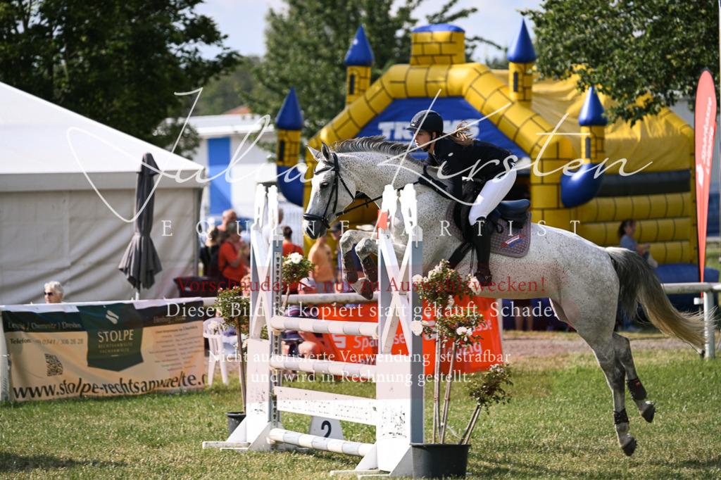 DSC_1050 | Pferde- und Turnierfotografie in Westsachsen. Pferdeportraits, Auftragszeichnungen und intuitive Kunst.