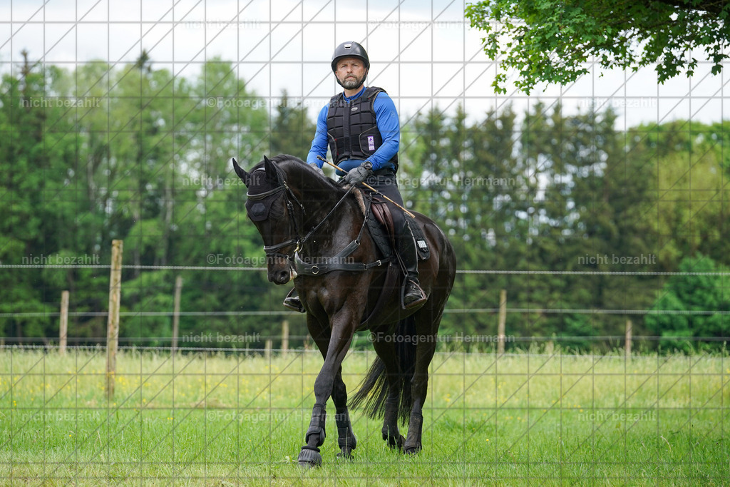 20240518-FAH03984 | Turnierbilder von Niederseon, Turnierfotografen Bayern, Fotoagentur Herrmann, Geländebilder, Reitsportfotografie
