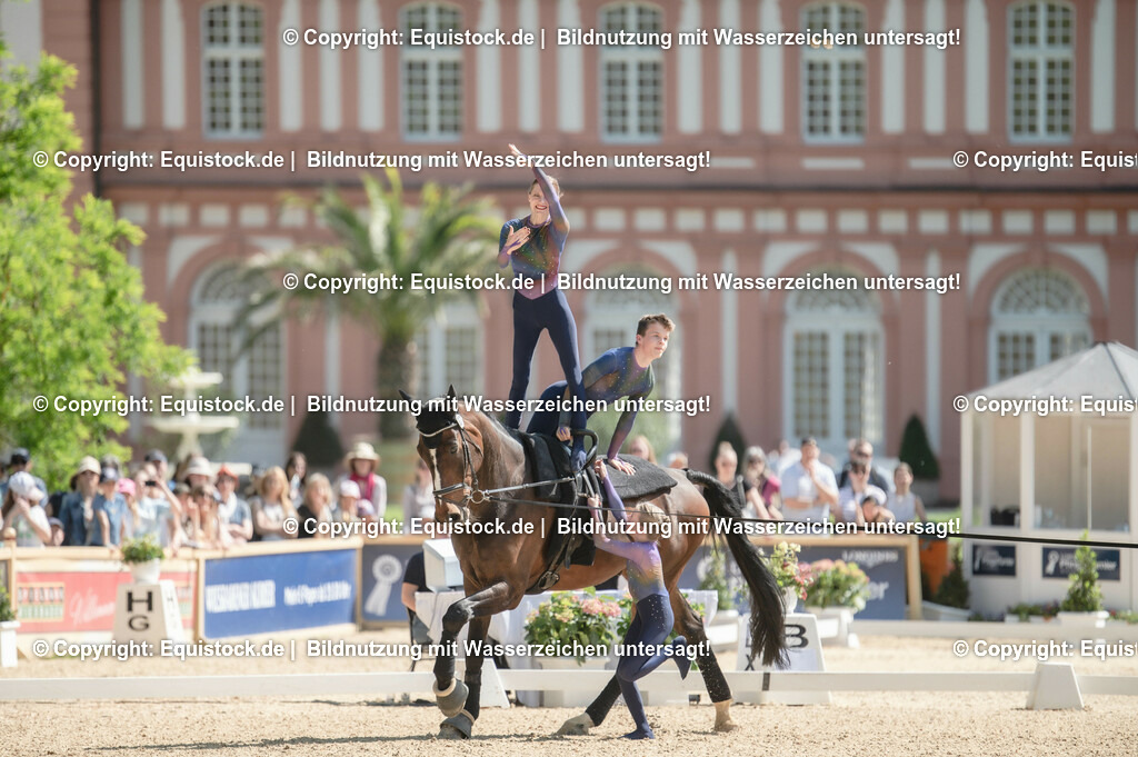 20230528_Voltigieren_NASPA_0472 | equistock