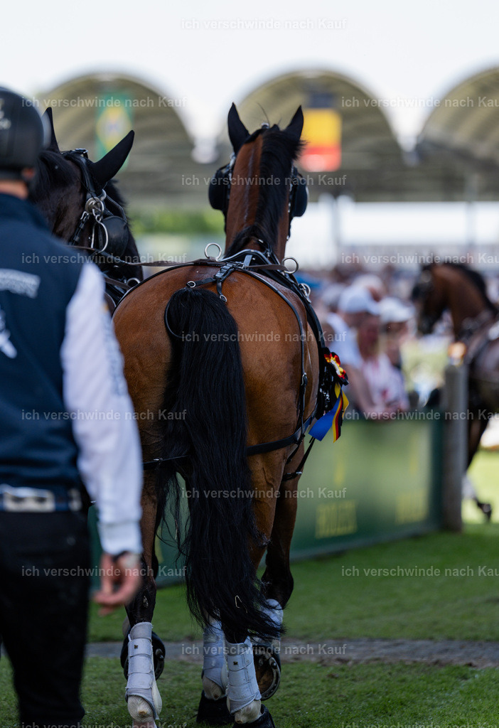 TSCHIO26_JandD_Stoibphotography_DSC7483.jpg | working equitationturnier fotograf videograf stoibphotography marixx film working equitation deutschland reitsport turnierfotografie eventfotografie equestrian events
