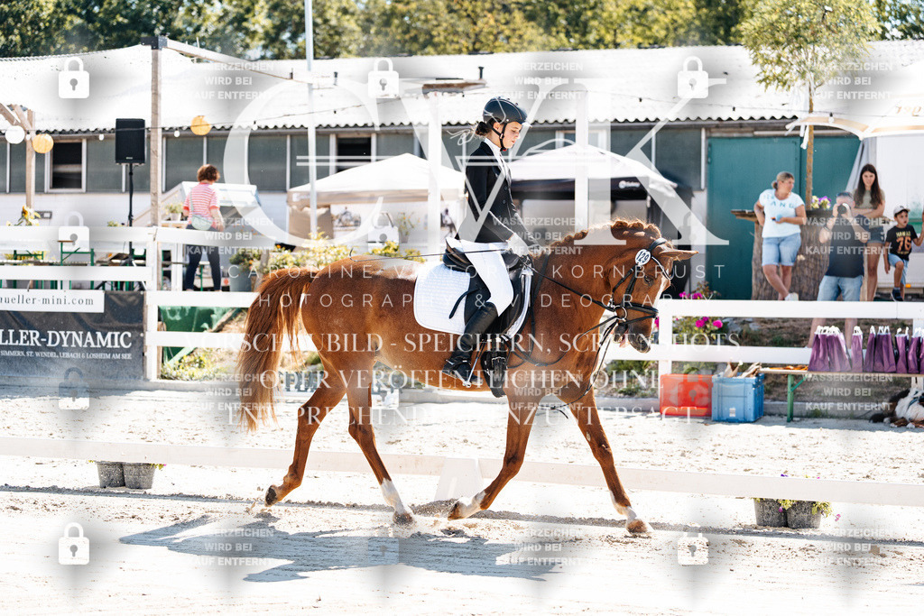 CK902206 | Turnierfotografie Pferdefotografie Trier Rheinland-Pfalz Pferdesport Reitsport Tierfotografie Sportfotografie Pferdevideo Pferdevideografie Equestrianvideography equestrianphotography  - Realisiert mit Pictrs.com