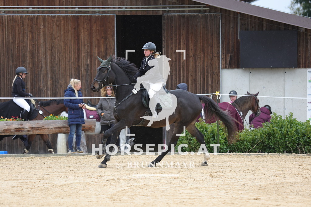 0P6A3109 | Willkommen bei Brunnmayr - Design & Fotografie – Ihrem Spezialisten für Reitturniere und Pferdeveranstaltungen in Oberösterreich, Salzburg und Bayern! Seit über 17 Jahren sind wir leidenschaftlich dabei.