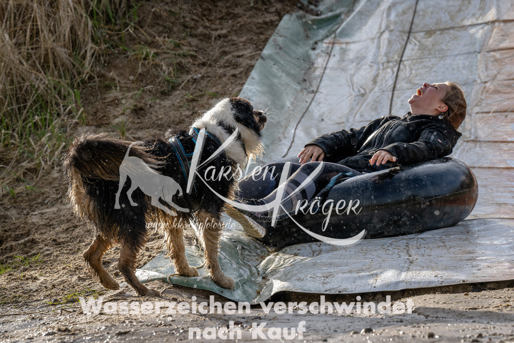 1621_ZZ90515 | kk-dogfotos