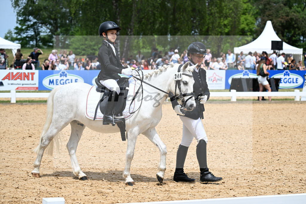 Nuernberger Burg Pokal Fuehrzuegelklasse_11256449 | hf-fotografie - Realizzato con Pictrs.com
