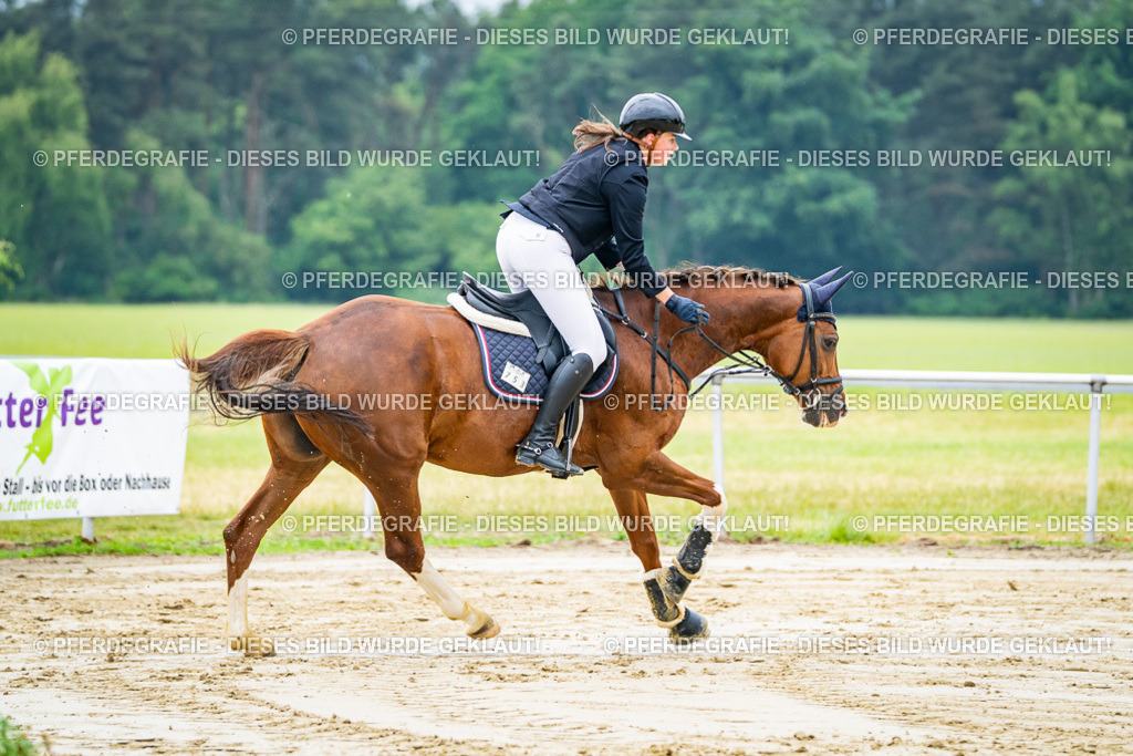 DSC02460 | Pferdegrafie