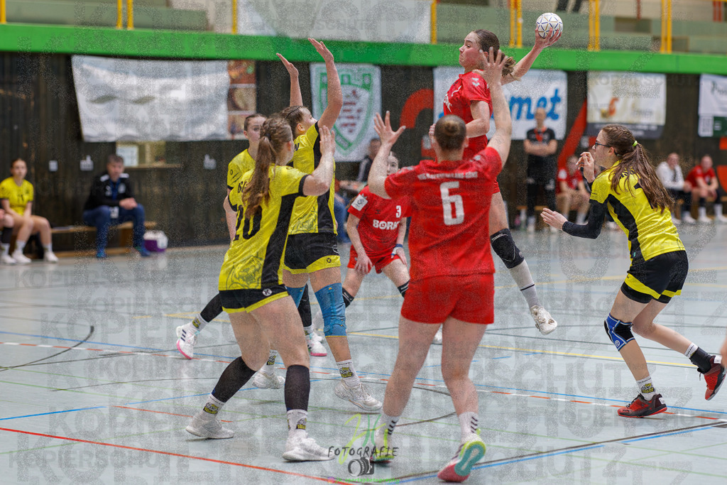 Hessenmeisterschaft wJC - Finale; HSG Kleenheim - HSG Weiterstadt/ Braunsh.Worf. | Hessenmeisterschaft wJC - Finale; HSG Kleenheim - HSG Weiterstadt/ Braunsh.Worf. am 22.03.2025 in Biedenkopf (Sporthalle Lahntalschule)Photo © 2025 - Jörg Heinrich - Realisiert mit Pictrs.com