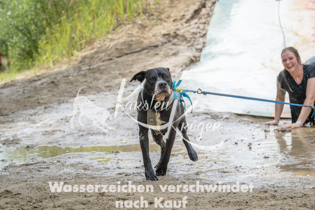 1242_ZZ98926 | kk-dogfotos