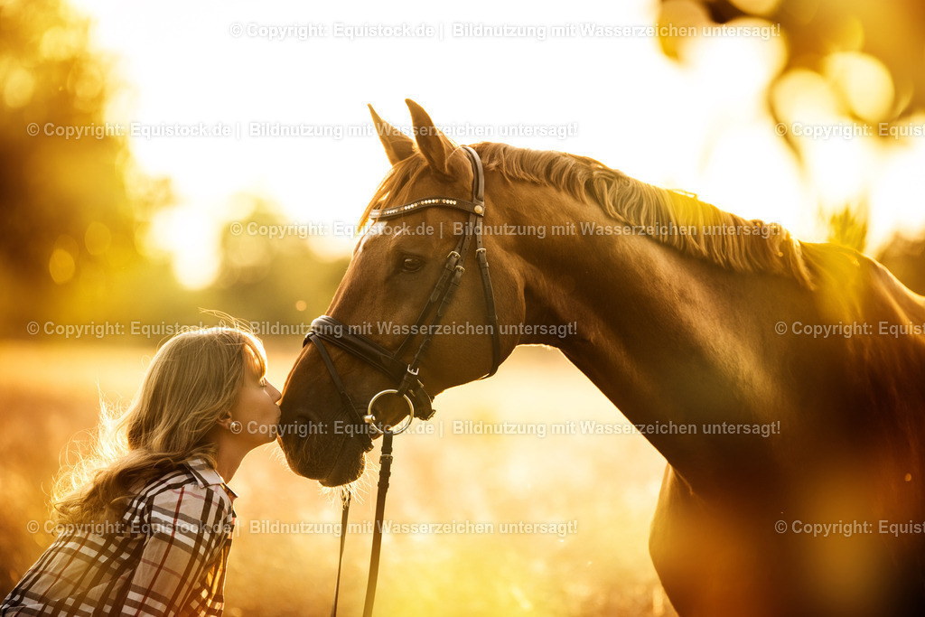 20150715_TOMsPiC_0217 | equistock