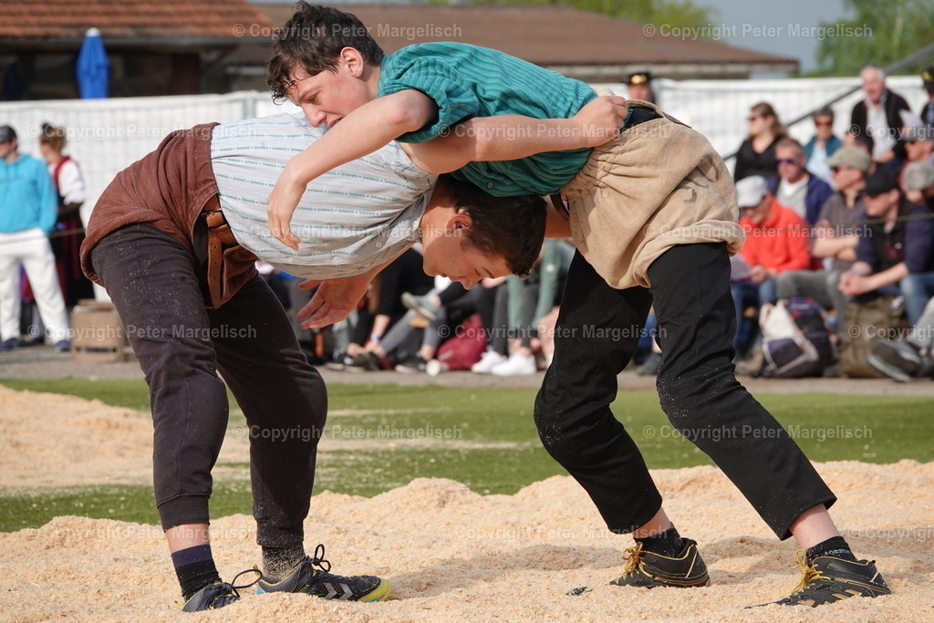 DSC03602 | Schwingen - Realisiert mit Pictrs.com