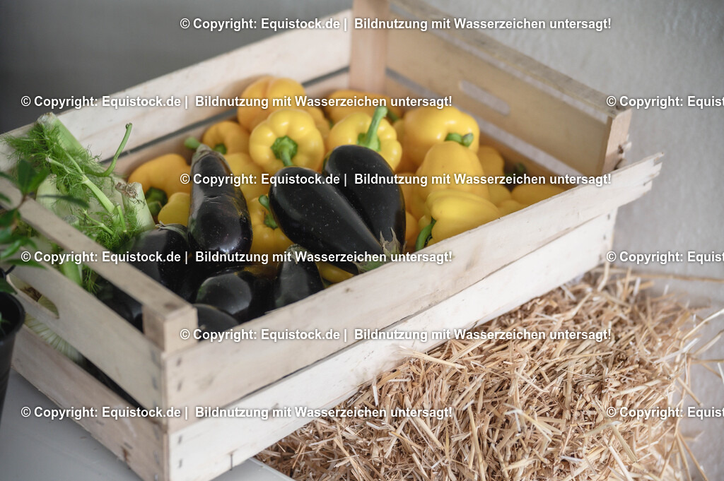 20240519_Wilhelms-Club_0016 | Foto: Thomas Hartig