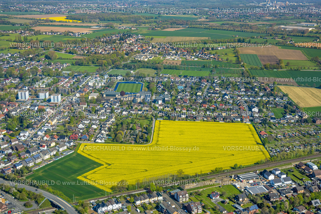 Kamen230406202 | Luftbild, Rapsfelder, SportCentrum Kaiserau, Einkaufszentrum Einsteinstraße mit Hochhäusern, Kaiserau, Kamen, Ruhrgebiet, Nordrhein-Westfalen, Deutschland