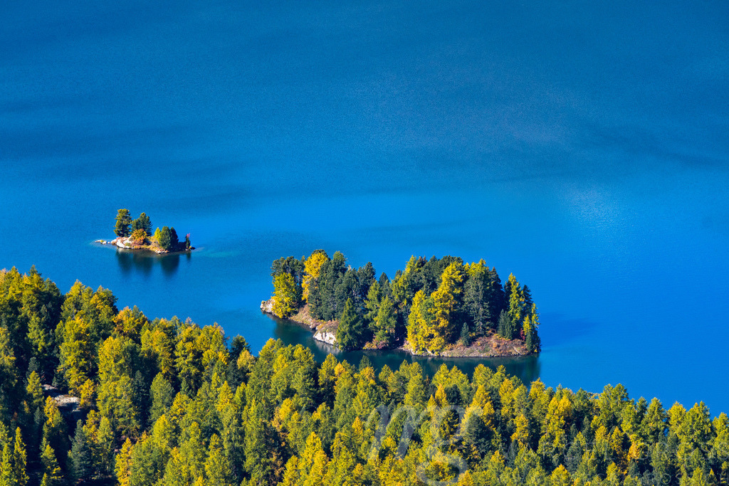 island in Lake Sils in Engadin in Autumn | Die ideale Geschenkidee für Naturliebhaber. Naturbilder von Marcel Gross Photography für ihr Zuhause in den verschiedensten Formaten und Materialien. - Realisiert mit Pictrs.com