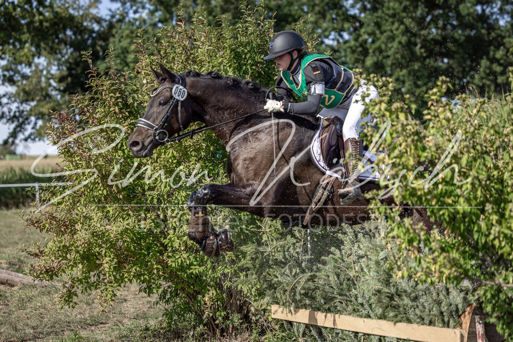20250907-_3LI3304 | Tierfotografie Pferde, Hunde, Katzen, Haustiere.
Turnierfotografie Reitturniere, Reiten, Springreiten, Dressur in Hanau, dem Main-Kinzig-Kreis und dem Rhein-Main- Gebiet um Frankfurt