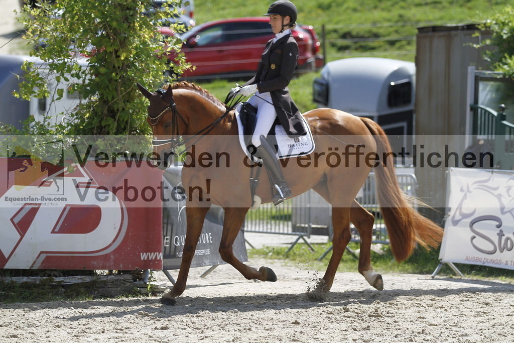 _MG_5447 | equestrian-live-com