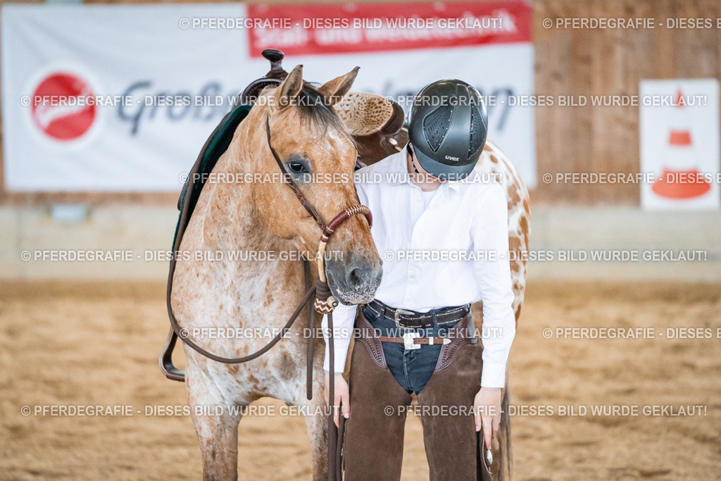 DSC01397 | Pferdegrafie