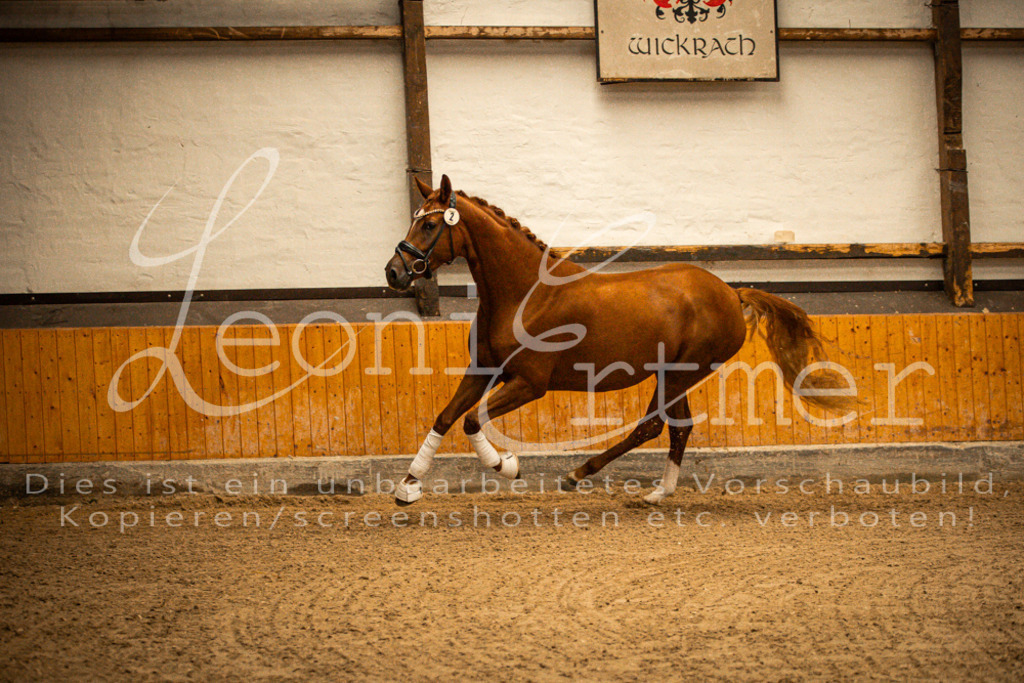 1FS_L00048 | Leoni Ertmer Photography - Realisiert mit Pictrs.com