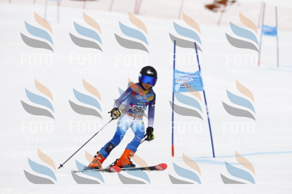 _U3G7291 | holidayphoto