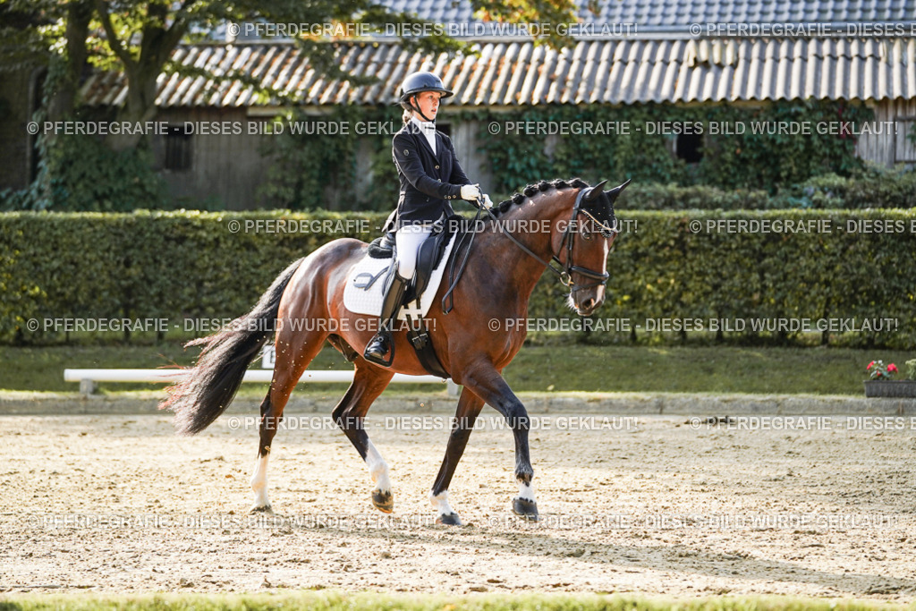 DSC05086 | Pferdegrafie