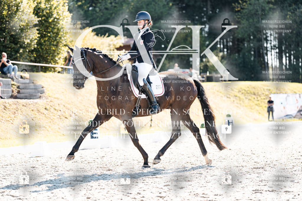 CK905591 | Turnierfotografie Pferdefotografie Trier Rheinland-Pfalz Pferdesport Reitsport Tierfotografie Sportfotografie Pferdevideo Pferdevideografie Equestrianvideography equestrianphotography  - Realisiert mit Pictrs.com