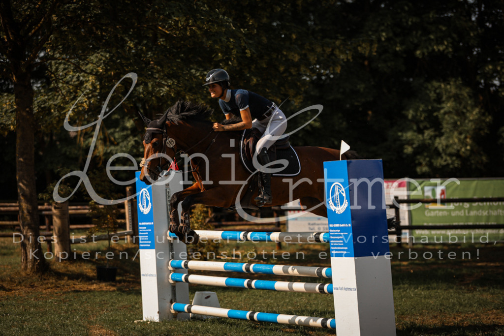 25.SaSpL00057 | Leoni Ertmer Photography - Realisiert mit Pictrs.com