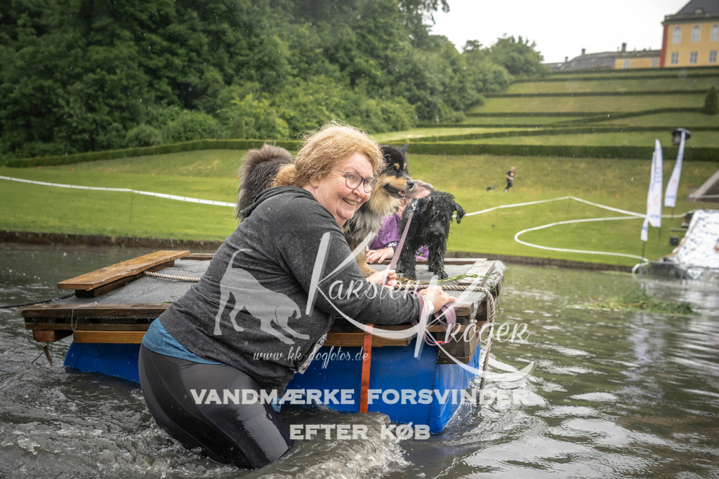 1546_ZZ94712 | kk-dogfotos