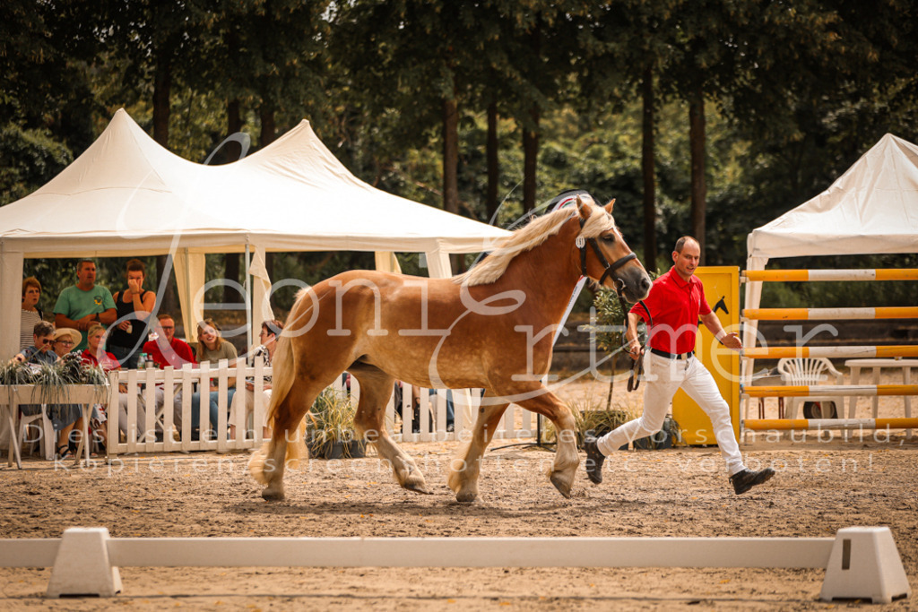 SaSieger00009 | Leoni Ertmer Photography - Realisiert mit Pictrs.com