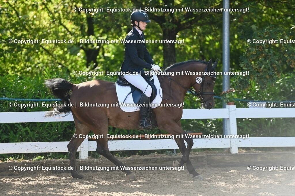 20230716_04_Dressurreiterprüfung Kl.A_0110 | equistock