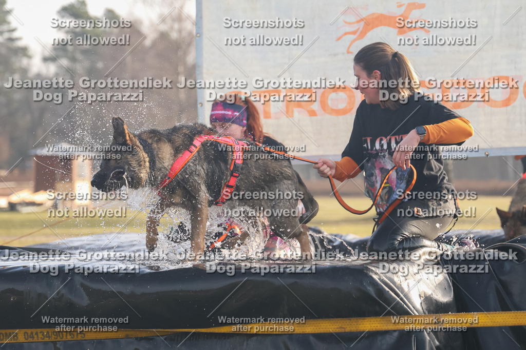 Dog Paparazzi - SD North 0326 900930-88 | Dog Paparazzi Jeanette Grottendiek Fotografie & Videografie - Realisiert mit Pictrs.com